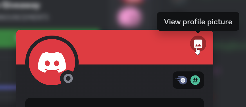 ViewProfilePicture